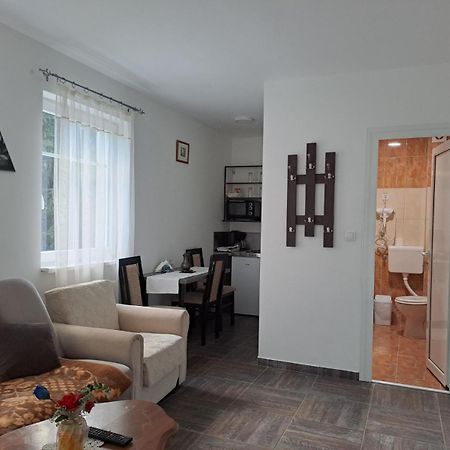 Vila Mozart - Apartments & Studios โคเปานิก ภายนอก รูปภาพ